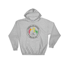 Cotton blended Hooded Sweatshirt (4 colors)